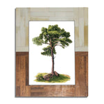 5x7 Half Split Wood & Bone Photo Frame