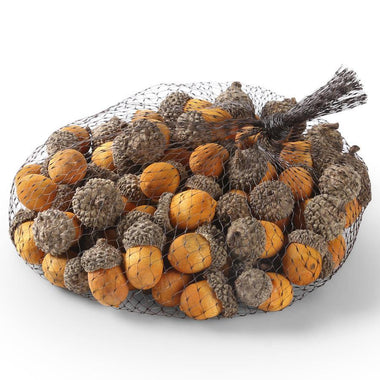 Bag of 75 Acorns