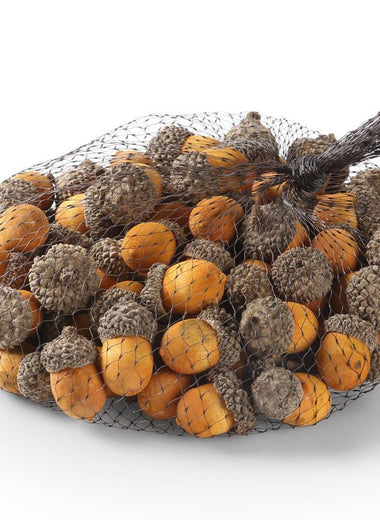 Bag of 75 Acorns