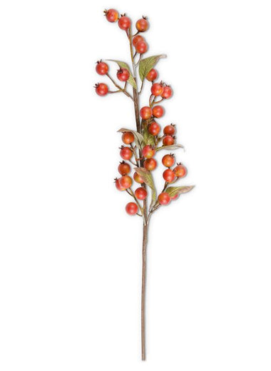 32" Burnt Orange Rosehip Stem