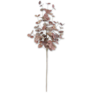 36" Burgundy Two-Tone Eucalyptus Stem