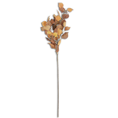 38" Mustard & Orange Cork Textured Silver Dollar Eucalyptus