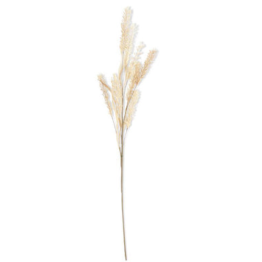 35 Inch Natural Pampas Grass Spray