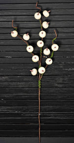 29" Mini Cream Pumpkin Branch