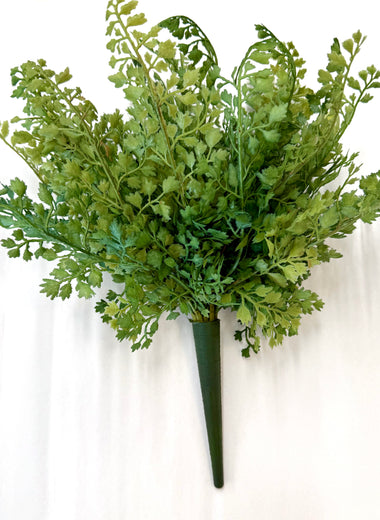 13" Maidenhair Fern Bush