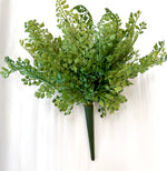 13" Maidenhair Fern Bush