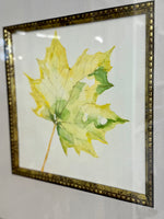 Fine Art from Jackie Wyss