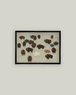 8x10 Bison Herd Framed Art