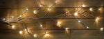 5' LED Twig Light Garland- White