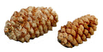 Long Pinecone Bag