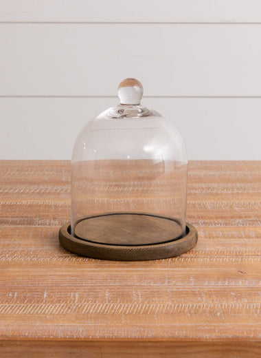 Glass Cloche With Wood Base