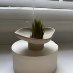 Aglaya Pedestal Bowl - Black Noir