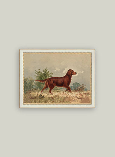 7x9 Standing Retriever Framed Art