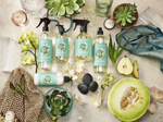 Pear Blossom Agave Biodegradable Dish Soap with Bark & Aloe