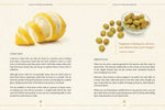 The Martini Field Guide