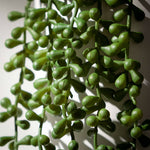 39" Hanging Succulent Spray
