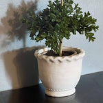 White Scalloped Edge Pot