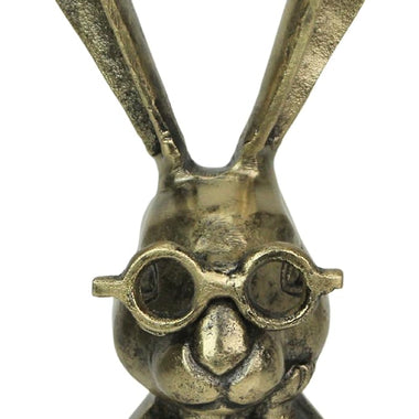 Whimsical Bunny with Spectacles