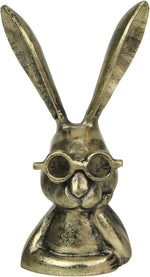 Whimsical Bunny with Spectacles