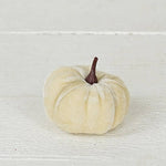 Mini Velvet Pumpkin Bag of 6 - Beige