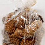 Long Pinecone Bag