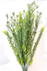 25" Mixed Parsley Spray