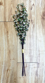 33" Waxflower Blossoms Bundle