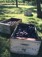 Island Plum Spoon Preserves