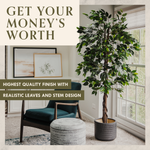 6' Faux Ficus