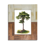 4x6 Split Wood & Bone Photo Frame