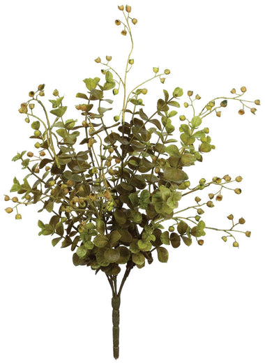 14" Eucalyptus Plant