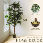 6' Faux Ficus