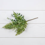 17" Mixed Fern & Boxwood Pick