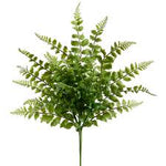 18" Fern Spray
