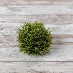 6" Two-Tone Chickweed Half Ball