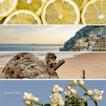 Coastal Lemon 12 oz Soy Candle