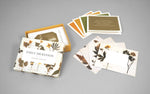 Emily Dickinson Notecards
