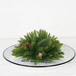 Evergreen Spruce with Birch Cones Half Sphere