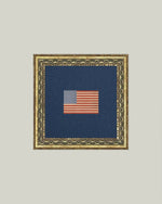9x9 Gingham Flag Framed Art