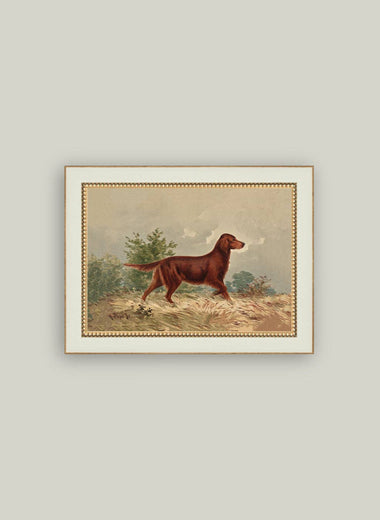 4x6 Standing Retriever Framed Art