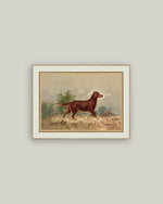 4x6 Standing Retriever Framed Art