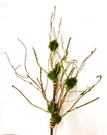32" Twig Spray with Moss