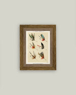 7x9 Lake Flies Framed Art