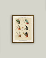 7x9 Lake Flies Framed Art