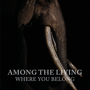 Among the Living: Where You Belong Book
