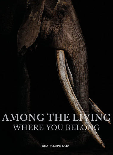 Among the Living: Where You Belong Book