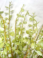 17" Soft Green Button Leaf Spray