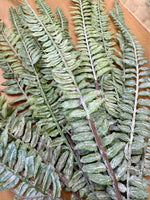 23" Sword Fern Spray