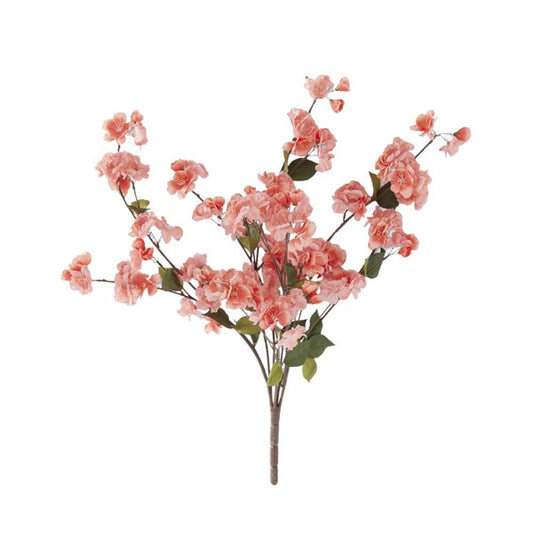 Peach Blossom Bush