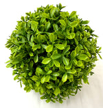 6" Boxwood Half Ball